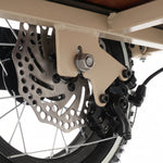 Chanty Cargo Teen - Beige